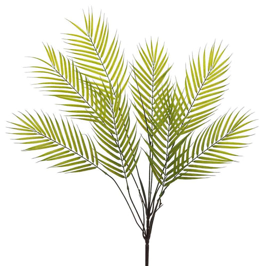 Palm Bush