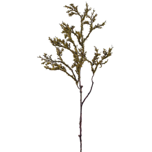 Moss Spray