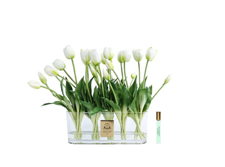 Oval Tulips - White Blossoms