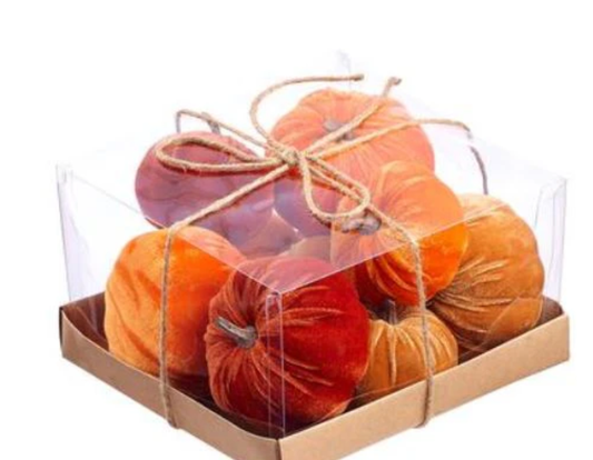 Velvet Pumpkins Box S/10