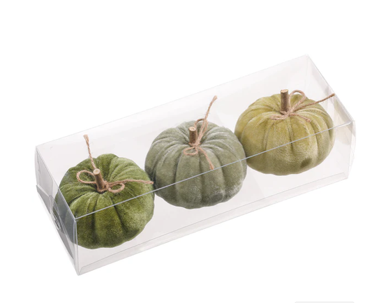 Shades Of Green Velvet Pumpkins S/3 | Details Panamá