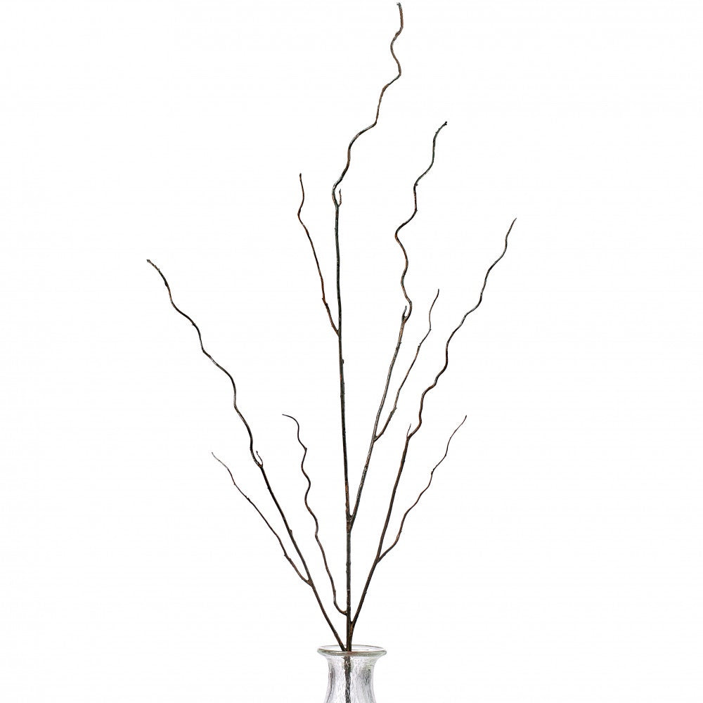 Brown Twig Curly Branch