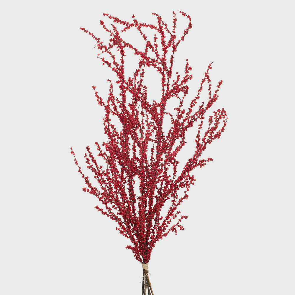 Berry Bundles