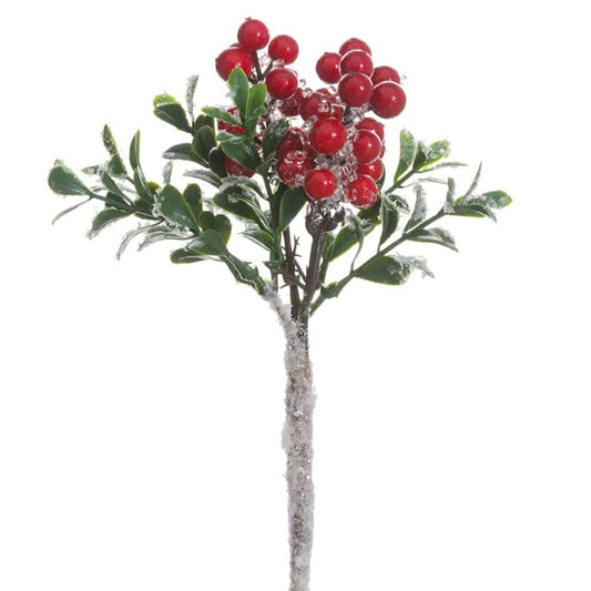 Ice Berry Boxwood Pick | Details Panamá