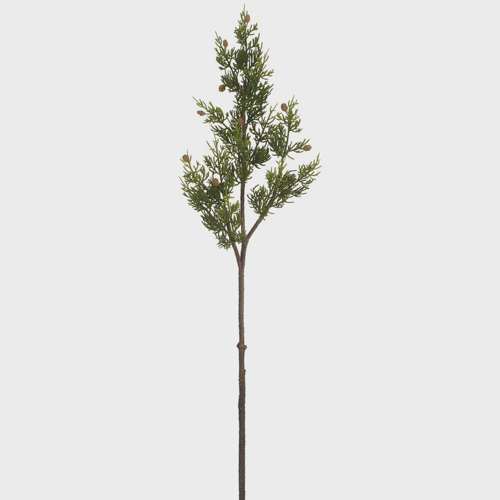 Cedar Spray With Pine Cone