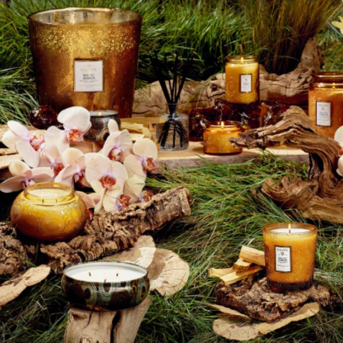 Baltic Amber Collection