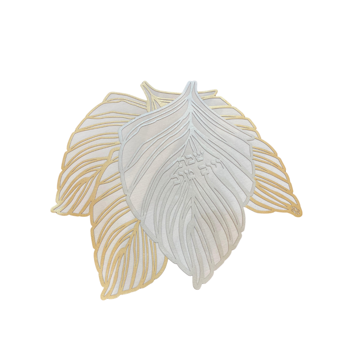 Colección Maranta | Details Panamá
