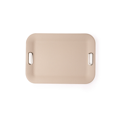 Large Plastic Tray With Metal Handles