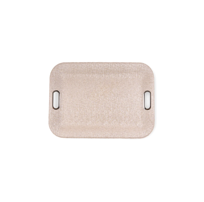 Large Plastic Tray With Metal Handles